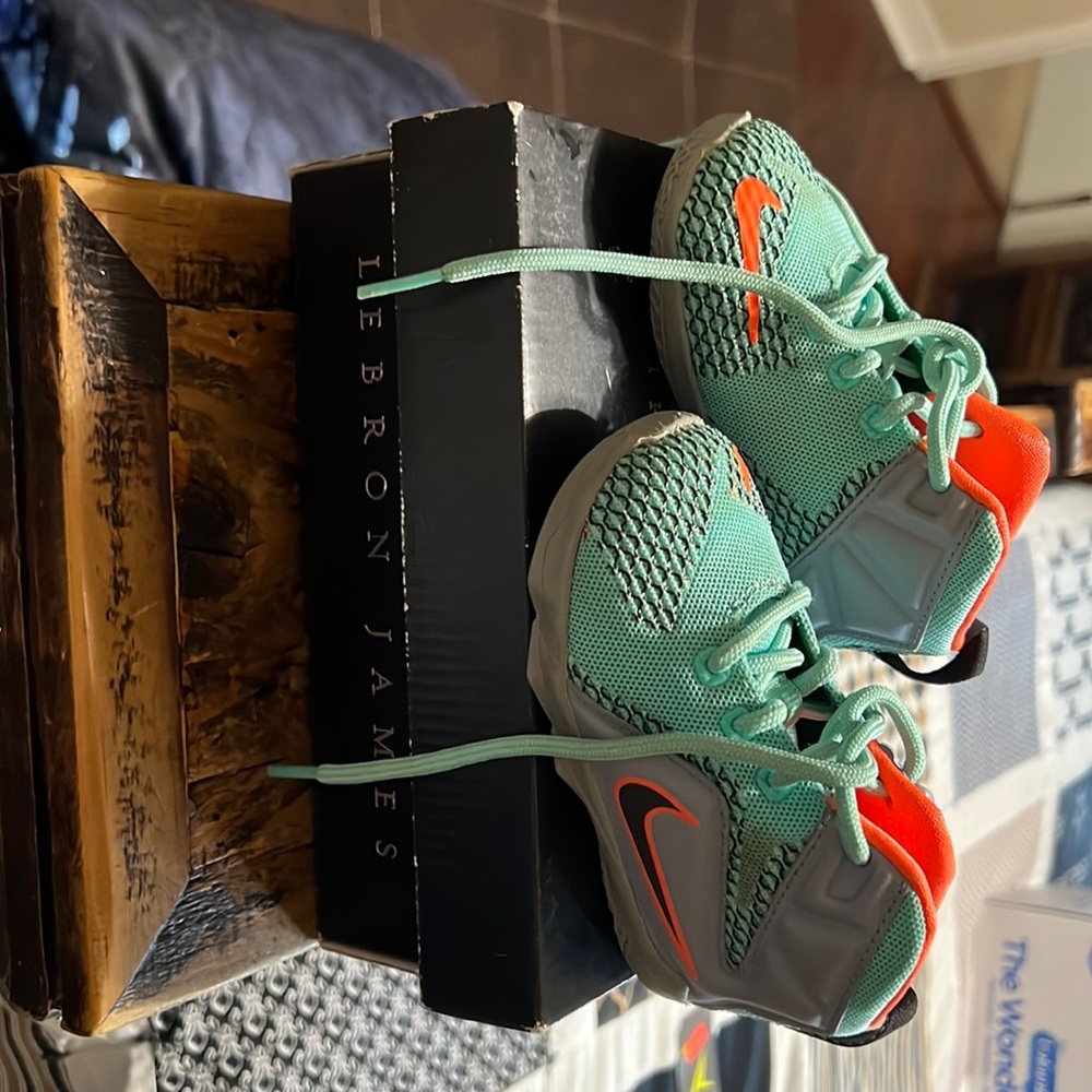 Labron shoes
